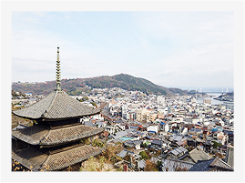 お寺の写真です