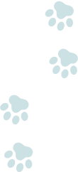 犬の肉球背景画像