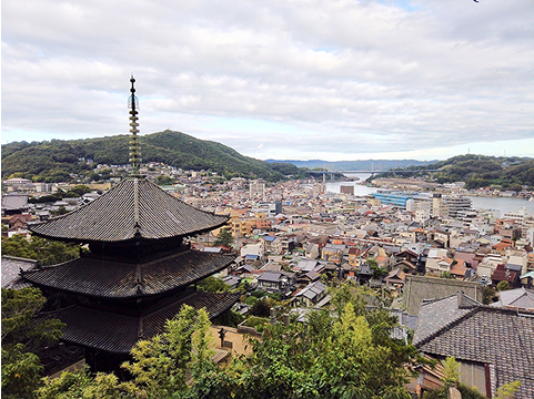 天寧寺 海雲塔が写っている街並みの写真です